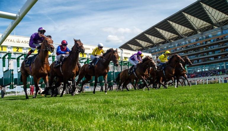 2025 Royal Ascot Results